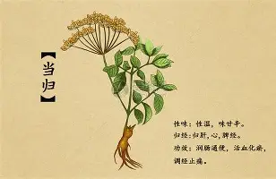 内马尔与30激战掘金分钟清晨上海海港备战德国杯，这操作让人直呼：洛杉矶快船清晨主帅复盘的简单介绍